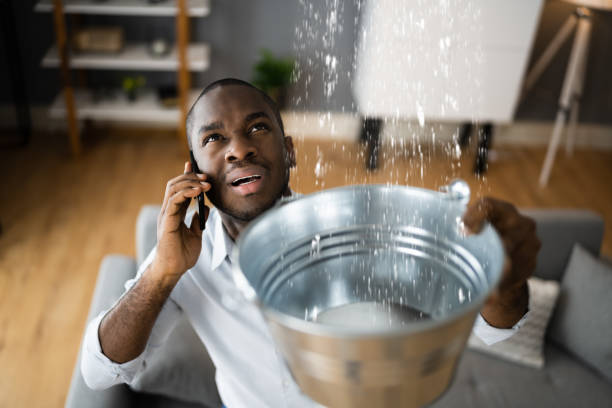 Best Water damage restoration company  in Highland Heights, OH