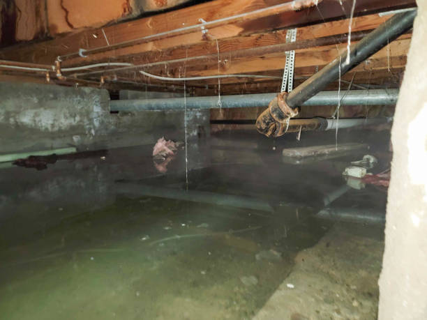 Best Commercial water damage restoration  in Highland Heights, OH