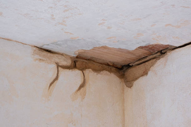 Best Water damage restoration specialists  in Highland Heights, OH
