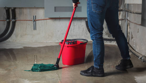 Best Water damage restoration near me  in Highland Heights, OH