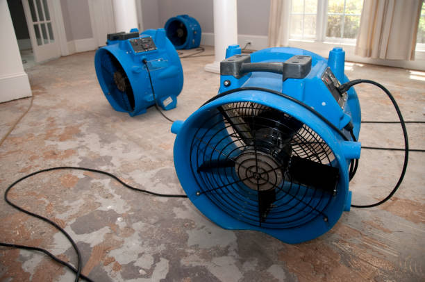 Best Flooded house restoration  in Highland Heights, OH